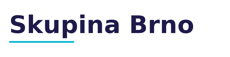 Skupina Brno logo